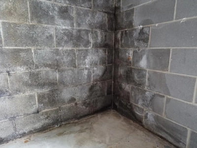The foundations of an interior wall exposed to leaking develops dark stains and some mould growth.