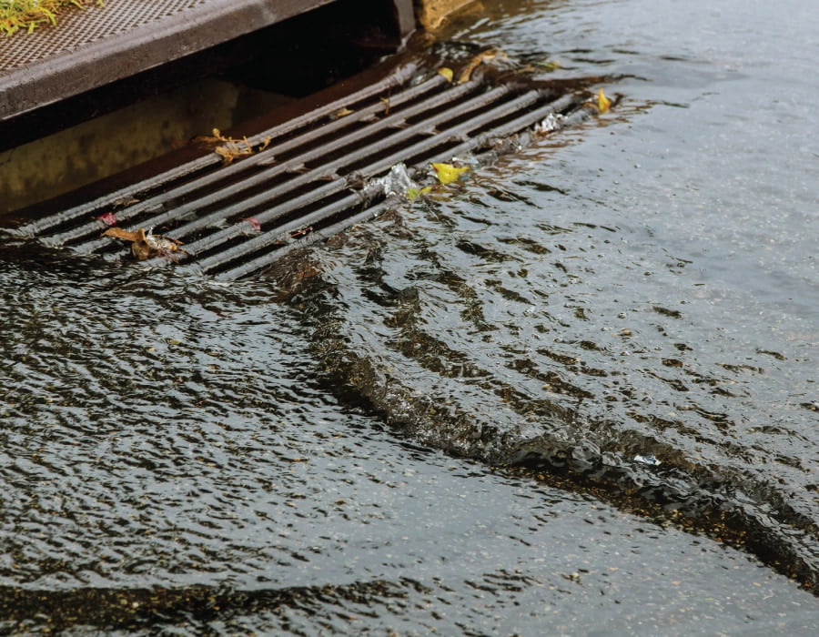 A storm drain lets in flood water and leafy debris.